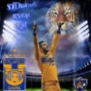 TIGRES DE UANL MOV 27