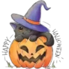 Halloween ✺5 30