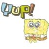 Adorable Little SpongeBob 24