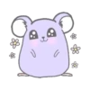 Purple hamster Teddy (Mov) 2