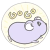 Purple hamster Teddy (Mov) 4