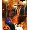 Halloween ✺2 5