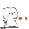 Cutie Cat-Chan 6