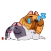 Perrito Bulldog 1 MOV. 6
