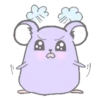 Purple hamster Teddy (Mov) 5