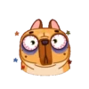 Perrito Bulldog 1 MOV. 7