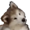 Bons adesivos 6
