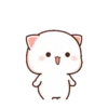 Peach cat 7