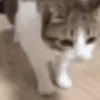 Reaction 9 9