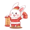 rabbit2023 8