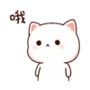 Peach cat 10