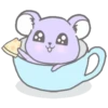 Purple hamster Teddy (Mov) 6