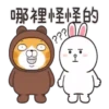 Lan Lan Cat × BROWN & FRIENDS 6