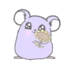 Purple hamster Teddy (Mov) 8