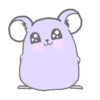 Purple hamster Teddy (Mov) 9