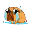 Perrito Bulldog 1 MOV. 11