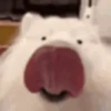 Reaction 9 12