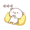 Peach cat 16