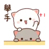 Peach cat 18