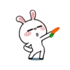 Hyper Rabbit 16