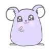 Purple hamster Teddy (Mov) 11