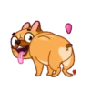 Perrito Bulldog 1 MOV. 22