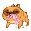 Perrito Bulldog 1 MOV. 23