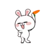 Hyper Rabbit 17
