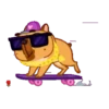 Perrito Bulldog 1 MOV. 24
