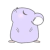 Purple hamster Teddy (Mov) 15