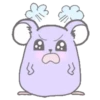 Purple hamster Teddy (Mov) 16