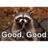 Animals 9