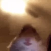 meme 12