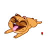 Perrito Bulldog 1 MOV. 25