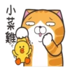 Lan Lan Cat × BROWN & FRIENDS 11