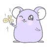 Purple hamster Teddy (Mov) 17