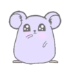 Purple hamster Teddy (Mov) 18