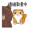 Lan Lan Cat × BROWN & FRIENDS 13