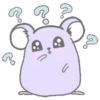 Purple hamster Teddy (Mov) 20