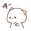Peach cat 22