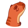 Tyrannosaurus Rex 18