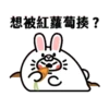 The Nothing Seal_Rabbit (Animated) 15