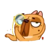 Perrito Bulldog 1 MOV. 27