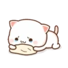 Peach cat 25