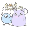 Purple hamster Teddy (Mov) 24