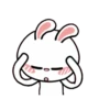 Hyper Rabbit 25