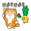 Lan Lan Cat × BROWN & FRIENDS 20