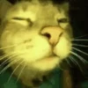 Reaction 9 25