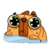 Perrito Bulldog 1 MOV. 28