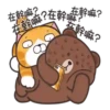 Lan Lan Cat × BROWN & FRIENDS 23